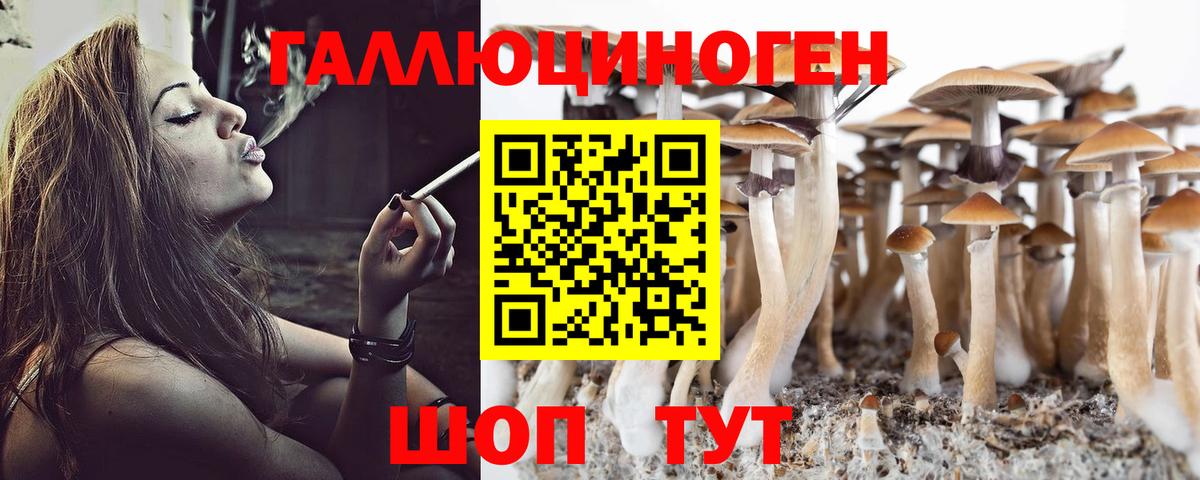 сколько стоит  Вход с VPN  Чусовой  Псилоцибиновые грибы мицелий  Галлюциногенные грибы мухоморы 